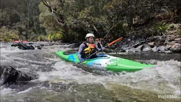 A closeup of a gray cat's face